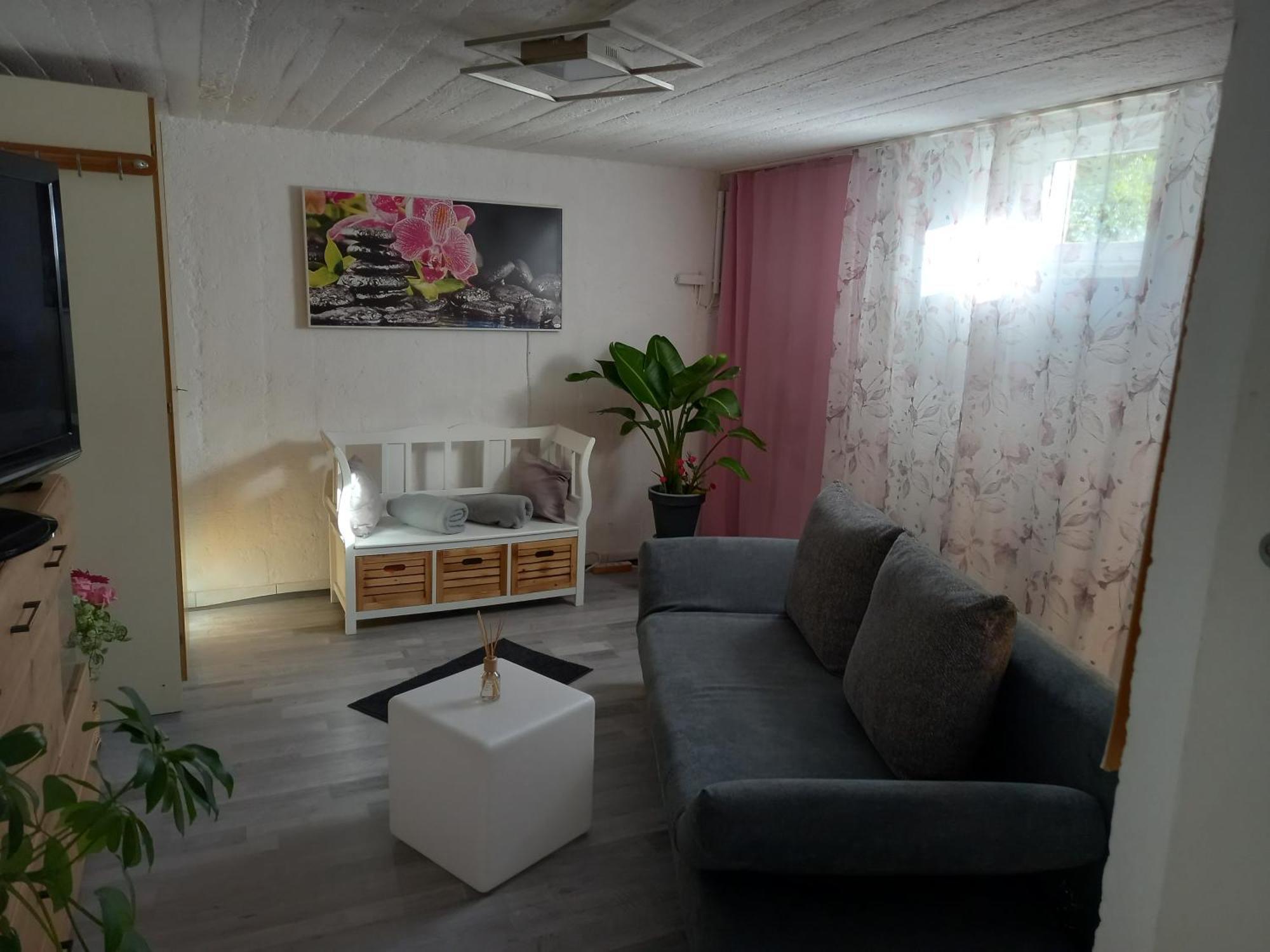 60 M² Ferienapartment Zentrumsnahe Mit Gartenbenutzung Штайр Экстерьер фото